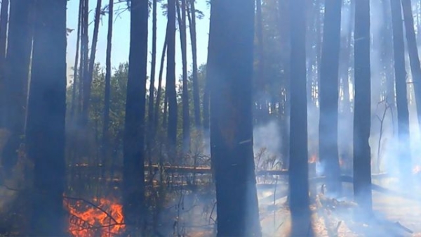 Aftermath of shelling