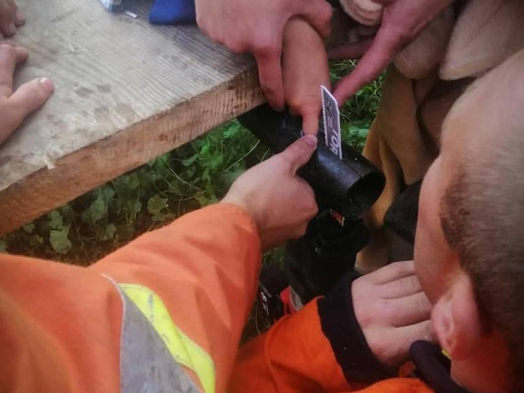 На Львівщині рятувальники допомогли 7-річній дівчинці, палець якої застряг у конструкціях возу
