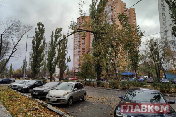 У столиці вже є перші жертви буревію