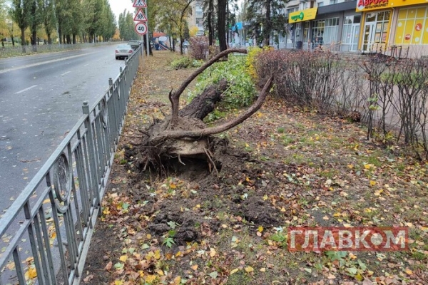 У Києві зафіксовано погодний рекорд