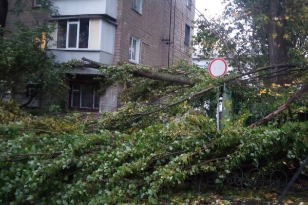 У столиці ліквідовують наслідки буревію: влада звернулася до киян із проханням