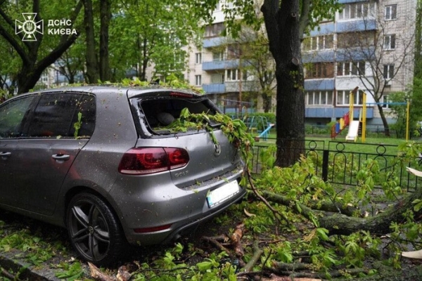 Повалені дерева й підтоплені вулиці: наслідки негоди в Києві (фото, відео)