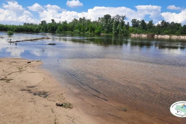 У Десні під Києвом рівень води впав до критичного мінімуму 