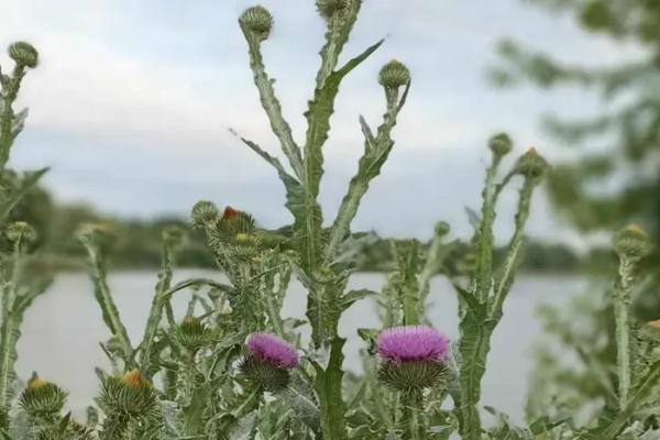 У Київську область на кілька днів прийшло потепління: прогноз погоди