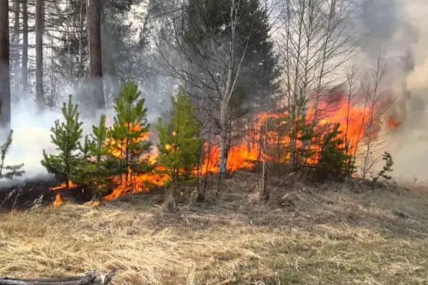 Синоптики пояснили, чому киянам найближчим часом слід з обережністю відпочивати на природі 