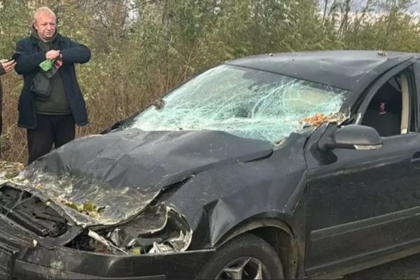 На Київщині дерево впало на авто з людьми у салоні (фото)