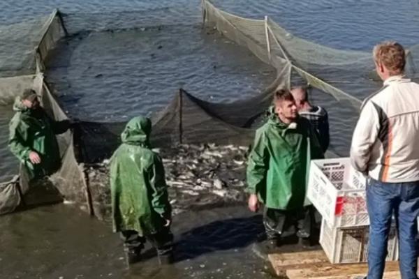 Водойми Київщини поповнилися 19 тоннами риби