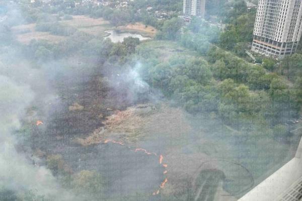 У Києві масштабна пожежа – горять Совські ставки
