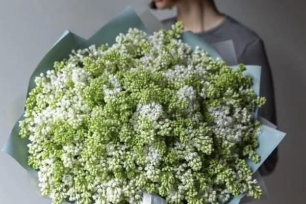 У Києві букет білого бузку продається за неймовірною ціною