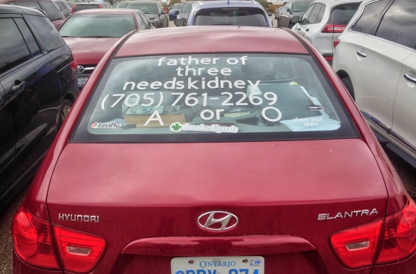 Знак на задній частині автомобіля з проханням пожертвувати нирку хворому чоловікові в Онтаріо, Канада.
