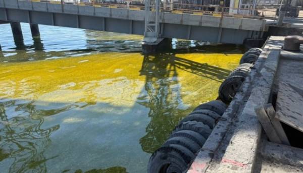Зафіксовано витік оливи у портовій зоні Чорноморська внаслідок російського нападу.