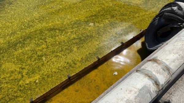 Зафіксовано витік оливи у портовій зоні Чорноморська внаслідок російського нападу. 7