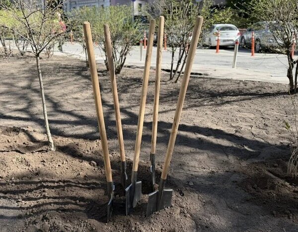 На місці демонтованих тимчасових споруд у Печерському районі облаштували зелену&hellip;