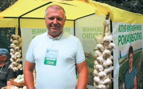 Рокамболь: екзотичний часник, що дивує 7