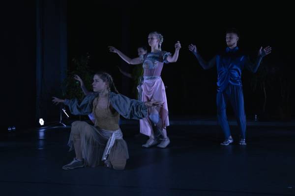 У Львові демонструватимуть виставу «Тут буде сад» з інклюзією жестової мови. 5