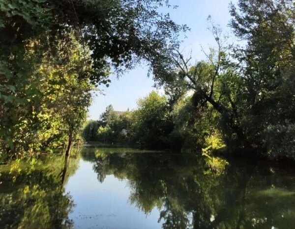 Захист унікальної місцевості «Горбачиха». Генеральна прокуратура звернулася до суду проти&hellip;