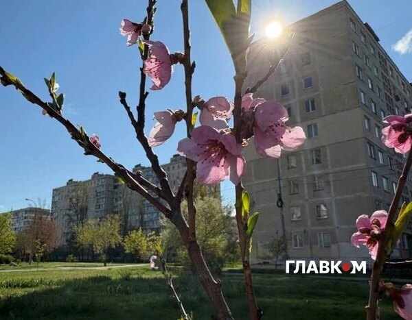 У столиці України попереджають про очікувані заморозки.