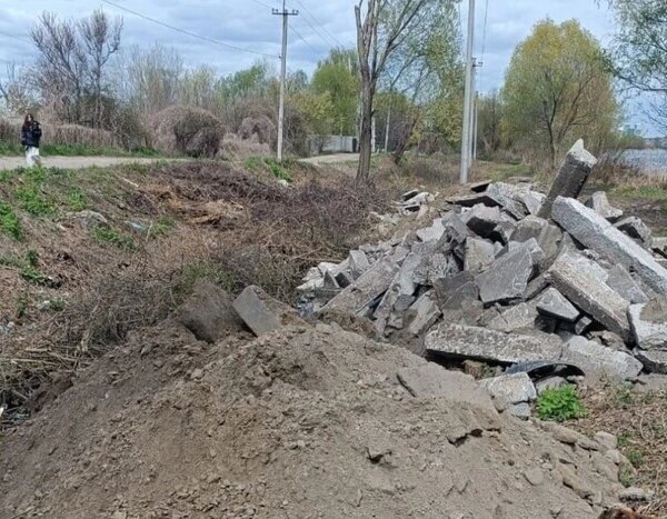Масштабне знищення дерев зафіксовано в київському заказнику «Озеро Заплавне» (із&hellip;