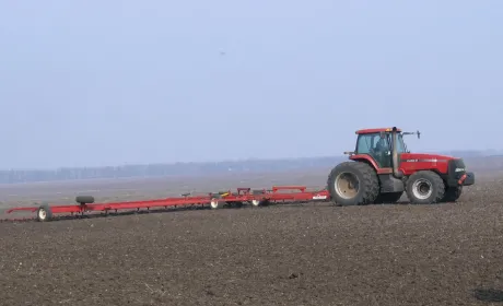 Головна 113 Боронування озимих: чи варто проводити після зимівлі?