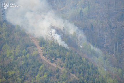 На Закарпатті сталася масштабна лісова пожежа — дивіться відео 4
