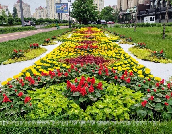 Головна 109 Квіткова візитівка країни: до Дня вишиванки київські ландшафтні дизайнери створили…