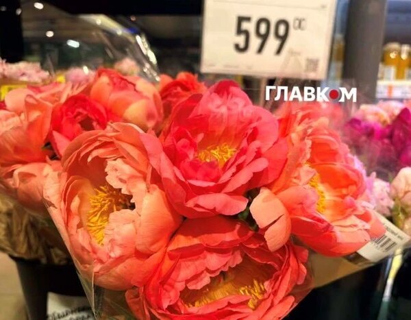 Головна 120 Ціни на півонії в Києві: вартість букета та популярні сорти