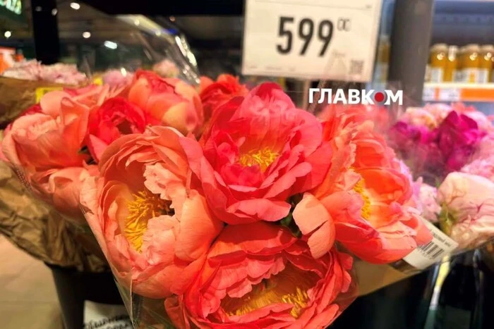 Головна 93 Ціни на півонії в Києві: вартість букета та популярні сорти