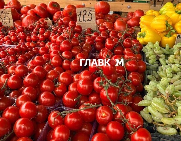 Головна 152 У столиці на вихідних 6-7 червня пройдуть сільськогосподарські ярмарки (місця…