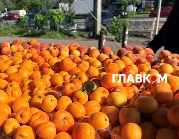 Головна 147 Нижча ціна ніж на полуницю: аналіз вартості ранніх персиків і…
