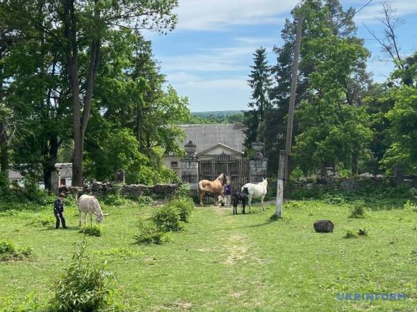 «Бузкова ніч» в Маліївцях 33 «Бузкова ніч» в Маліївцях 33