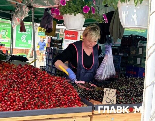Київський сезон черешні стартував: скільки коштує ягода на базарах