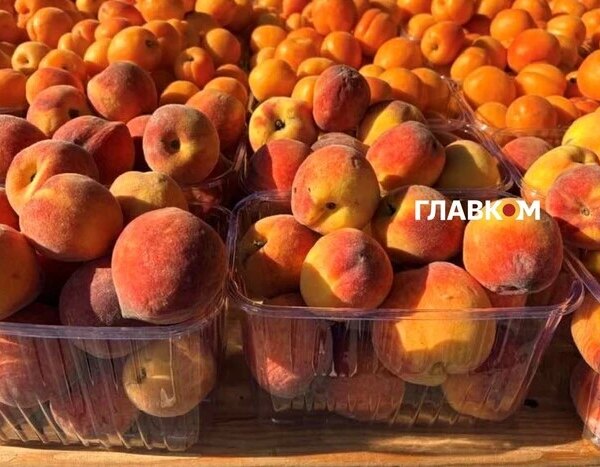На вихідних, 27-28 червня, у столиці пройдуть продуктові ярмарки (місця&hellip;