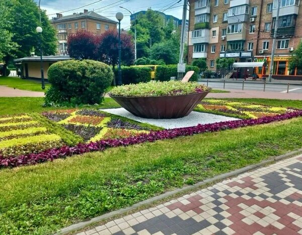 Головна 131 Український борщ на вишитому рушнику: унікальний квітник прикрасив сквер у…