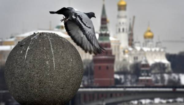 Росія готується обрати понад половину Держдуми, включно з мешканцями тимчасово окупованих територій – аналітик