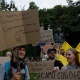 У столиці та інших населених пунктах вже п'ятий день тривають демонстрації. 50 У столиці та інших населених пунктах вже п'ятий день тривають демонстрації. 50