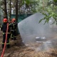 Силовики провели спільні тренування на Київщині 20