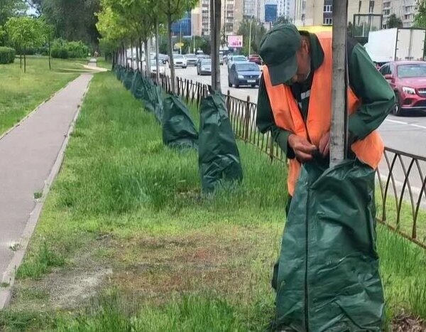 Київ: понад 6 тисяч інноваційних мішків для зрошення дерев, як це функціонує