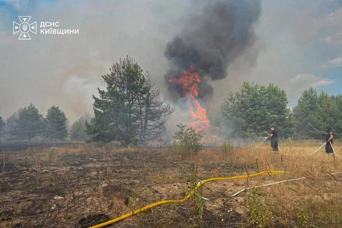 Синоптики попередили про надзвичайну пожежну небезпеку у Києві та області