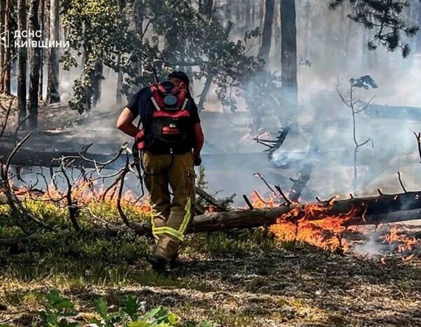 Головна 125 Дихання диму в Чорнобильській зоні: пожежники помітили свіжі осередки (фото)