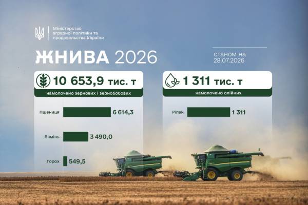 Зерно нового врожаю: зібрано понад 10,6 мільйона тонн 4