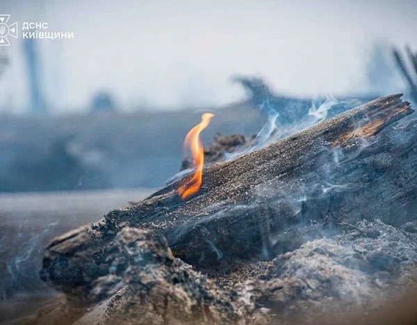 На Київщині та в столиці прогнозують надзвичайний рівень пожежної небезпеки.