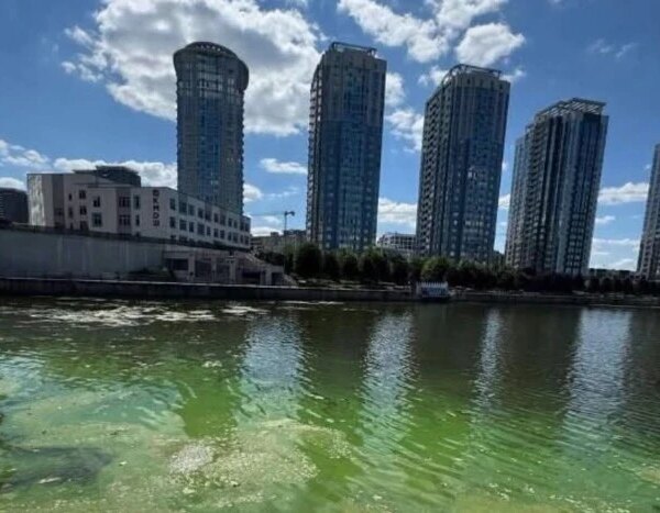 Головна 111 Цвітіння води на Дніпровській набережній у Києві спричинило скарги мешканців…