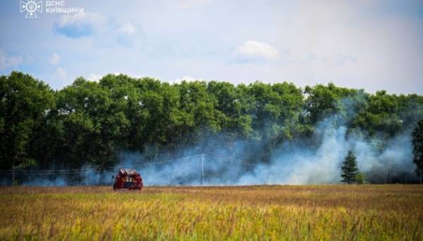 У зоні відчуження загасили лісову пожежу 18 У зоні відчуження загасили лісову пожежу 12