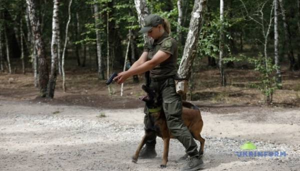 Силовики провели спільні тренування на Київщині 15