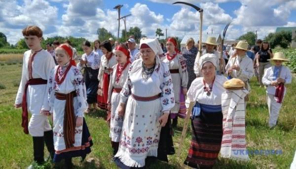 «Зажинки»: перші зібрані колоски поклали на різдвяний дідух