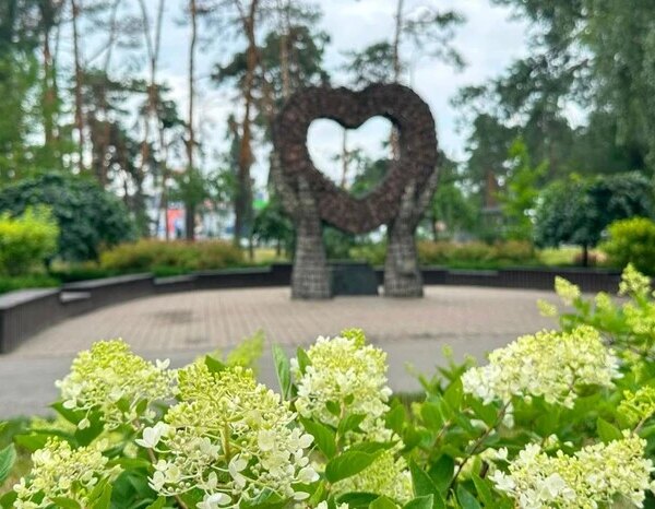 Цвітіння гортензій у Києві: місця з 100-метровими алеями та моносадами (список адрес)