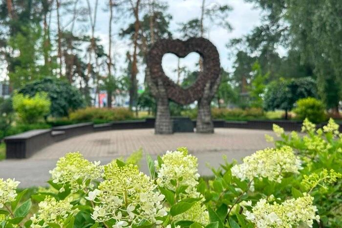 Сезон гортензій у Києві: де знайти 100- метрову алею та моносади (перелік адрес)