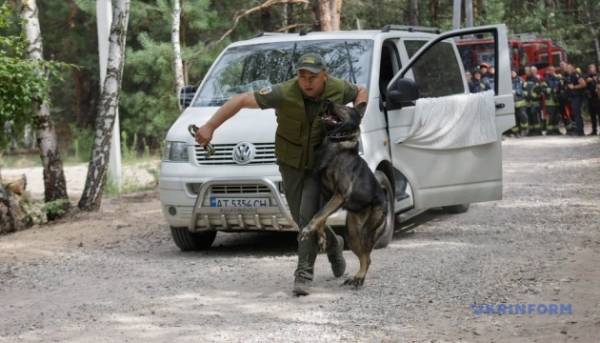 Силовики провели спільні тренування на Київщині