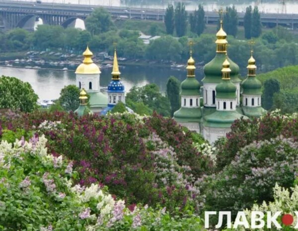 Генпрокуратура підтвердила висновки перевірки щодо небезпек забудови ботсаду Гришка.