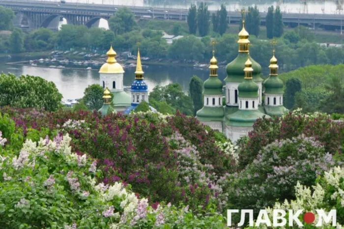 Генпрокуратура підтвердила висновки перевірки щодо небезпек забудови ботсаду Гришка. 22 Генпрокуратура підтвердила висновки перевірки щодо небезпек забудови ботсаду Гришка. 7